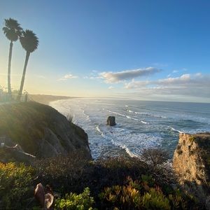 Meet your Posher, Steve